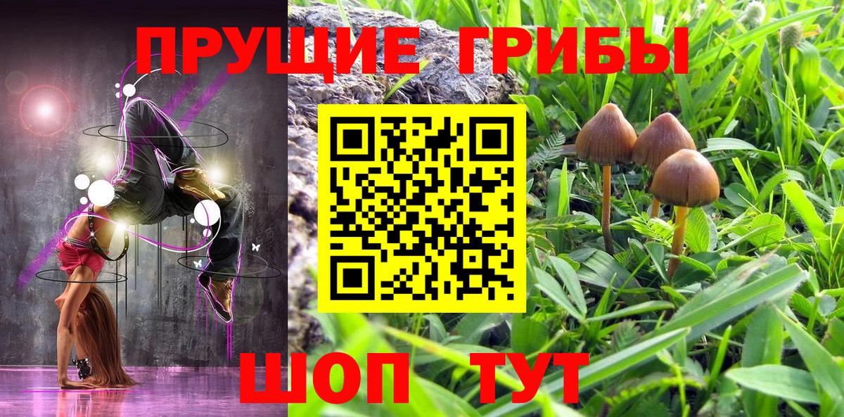 Клин  Псилоцибиновые грибы мухоморы  Вход с VPN 